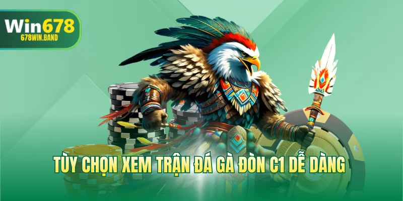 Tùy chọn xem trận đá gà đòn C1 dễ dàng 